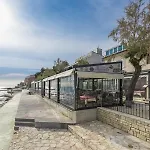 Lion With Sea View