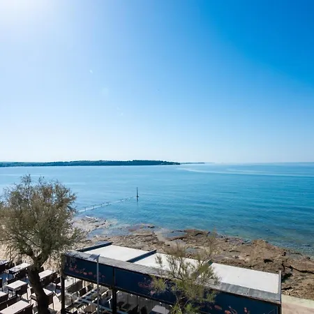 Lion With Sea View Novigrad Istria