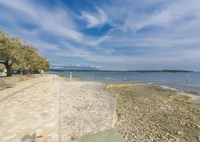 Lion With Sea View Novigrad Istria