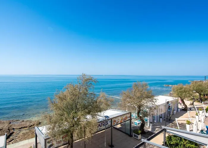 Lion With Sea View *